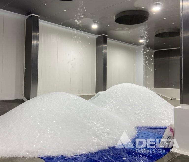 Planta-de-Hielo-2