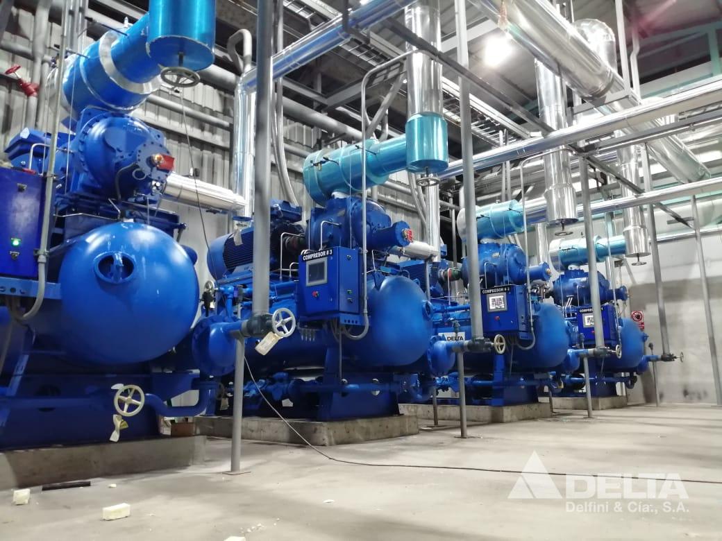 Shrimp-Process-Plant
